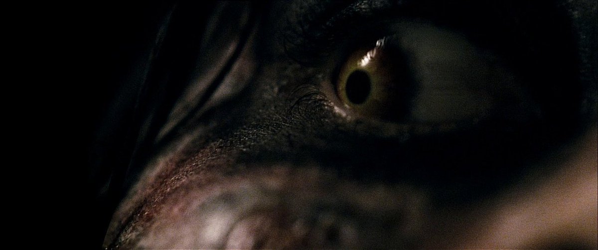 screenscaps's tweet photo. evil dead (2013) dir. fede alvarez https://t.co/yNGwtKycHJ