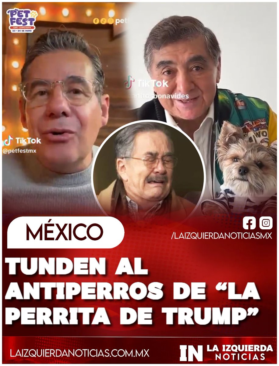 IzqNoticiasMx's tweet photo. DETESTABLE... Diversos famosos salieron a redes sociales a criticar las declaraciones de Pedro Sola, lacayo de “La Perrita de Trump”, calificando como detestable la postura de él y de la televisora del Ajusco, que envía esos mensajes criminales en cadena nacional. Los perros son la alegría de la casa, dijo el famoso Huicho Domínguez.