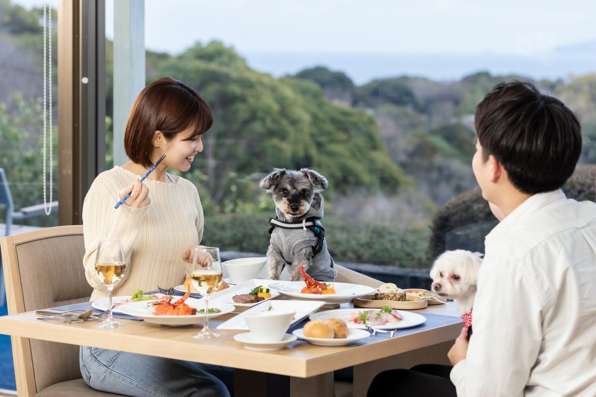 STAYWITHDOG's tweet photo. ★ペットと泊まれる宿・新着の感想☆わんわんパラダイス プレミア 伊豆高原 (旧:Wan’s Resort 城ヶ崎海岸)(627件)☆ https://t.co/aV2CArIDMy https://t.co/T6Dk6PH8jI