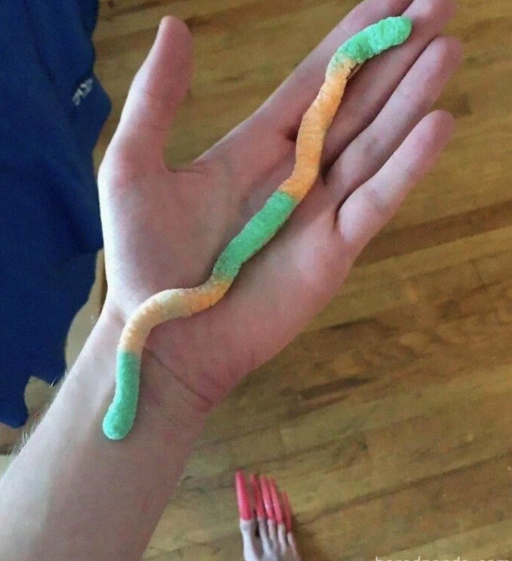 Dorkmafia's tweet photo. This has to be the longest gummy worm I’ve ever seen https://t.co/QhAXyva6aN