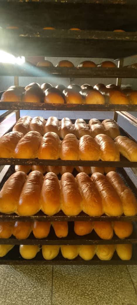 balada_pena's tweet photo. "Cada día, nuestros trabajadores ponen manos y corazón en la producción de alimentos que llegan a las mesas de miles de familias. Su dedicación es la fuerza que impulsa a nuestra empresa hacia un futuro más seguro
Con #HonorHolguinero https://t.co/5Ur5BKSOJ1