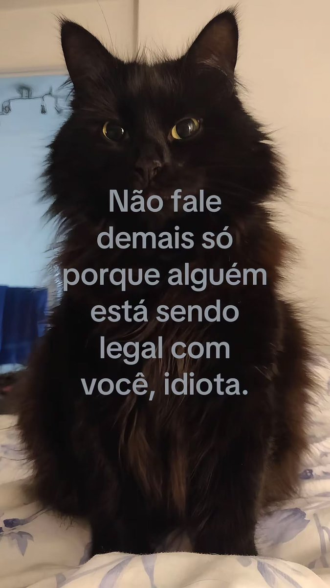 germano_ka's tweet photo. https://t.co/KWJBjShnkk