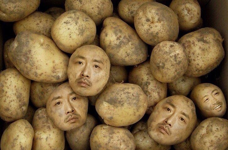 88bnn7's tweet photo. #ハジョンウ https://t.co/X8zVVVveef