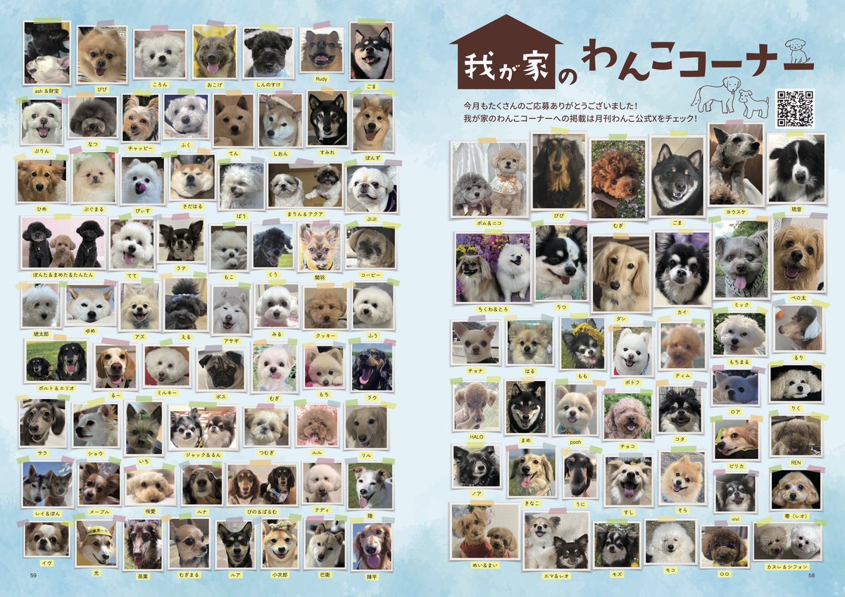 gekkan_wanko's tweet photo. 【当選者発表】
こちらの写真は月刊わんこvol.32『我が家のわんこコーナー』に掲載されています🐶㊗️🎊掲載されていたらリポストのご協力をお願いします👏

先行予約受付中！
▶︎通常版→https://t.co/5eH2tSarjt
▶︎Special Edition→https://t.co/CLVAG4JnxI

当選発表は画像をご確認ください📖
@sugiya
@hwdtuq
@nan_des__
@AKANE_tama0317
@en_nico_en
@RayT87737327
@tamasan567
@kitsune__11
@p90Z2G6rdIwlrwJ