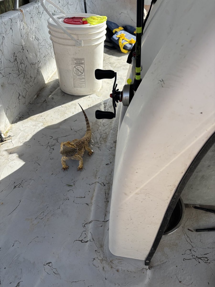 claudeg213's tweet photo. Taking Georgie fishing https://t.co/oCsKl9VosO