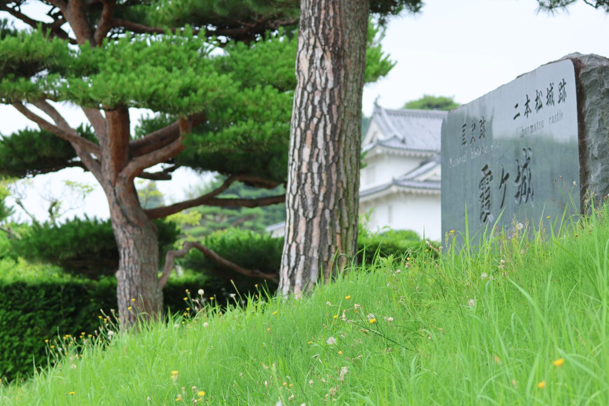 hXKKLyEAE4Eftj7's tweet photo. おはようございます😊🏡🌱
金曜日がやって来ました~
また‼︎二度寝の朝寝坊😴🫪
🐌💦🌰..ﾌﾟﾁﾌﾟﾁ散歩♪

今週もあとひと頑張り😎੭
全国何処もかしこも猛暑日の予想⛱️🌤️熱中症や急な雷雨にも気をつけましょう⚠️
今日も良い一日を🩵🤗🌼

#空ネット #シェア天 
可愛い実を見つけたﾖ☺️🩵 https://t.co/TdYPf4AYgb