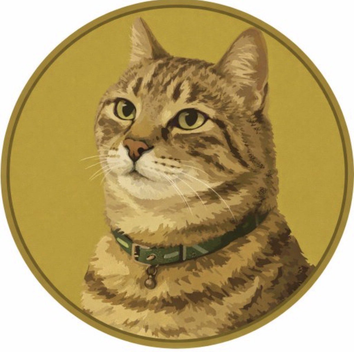 phdprincecto's tweet photo. Dig into this lore $ginnan is the official brother of $doge 🫪 the cat runner for Solana!! OG 6 months olds with all creator fees to @BillyM2k who as we know loves to endorse coins 👌🏻

GMuQjK3KLzdyZTn7fLS99vxD8YGfXeHhLzzb7Dcepump https://t.co/rRDi9PiKC3