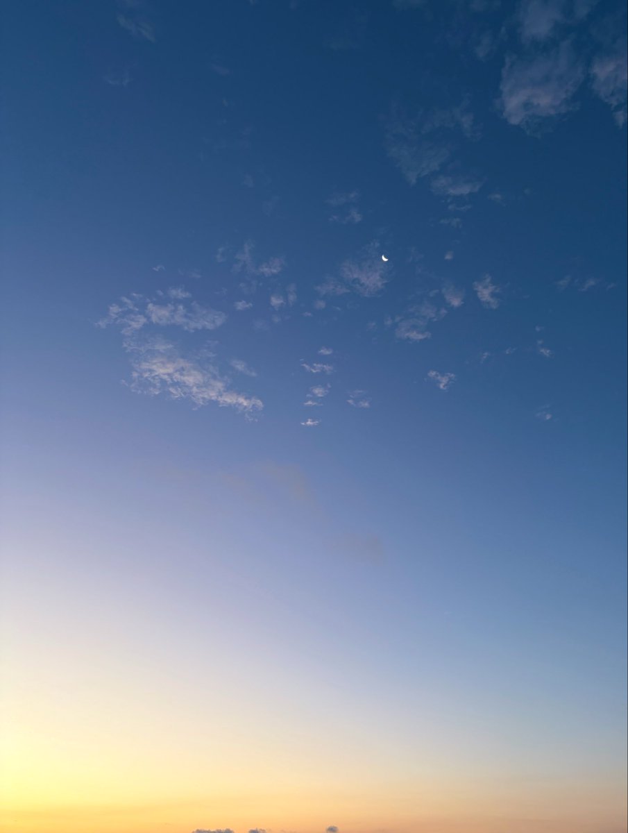 hirocat722's tweet photo. おはよう☀

朝の月🌙

#イマソラ
#月 https://t.co/sDCiHNgmmg
