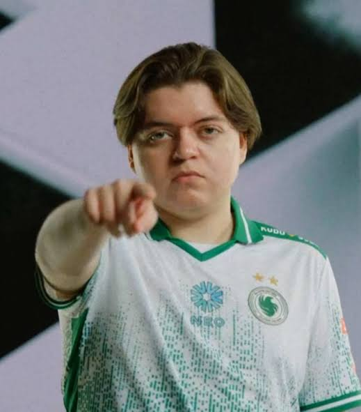 Storm_AcademyFN's tweet photo. Time to end the debate😈 
Who is better?😀
Peterbot / Pollo https://t.co/Mx6Zi0V8M6