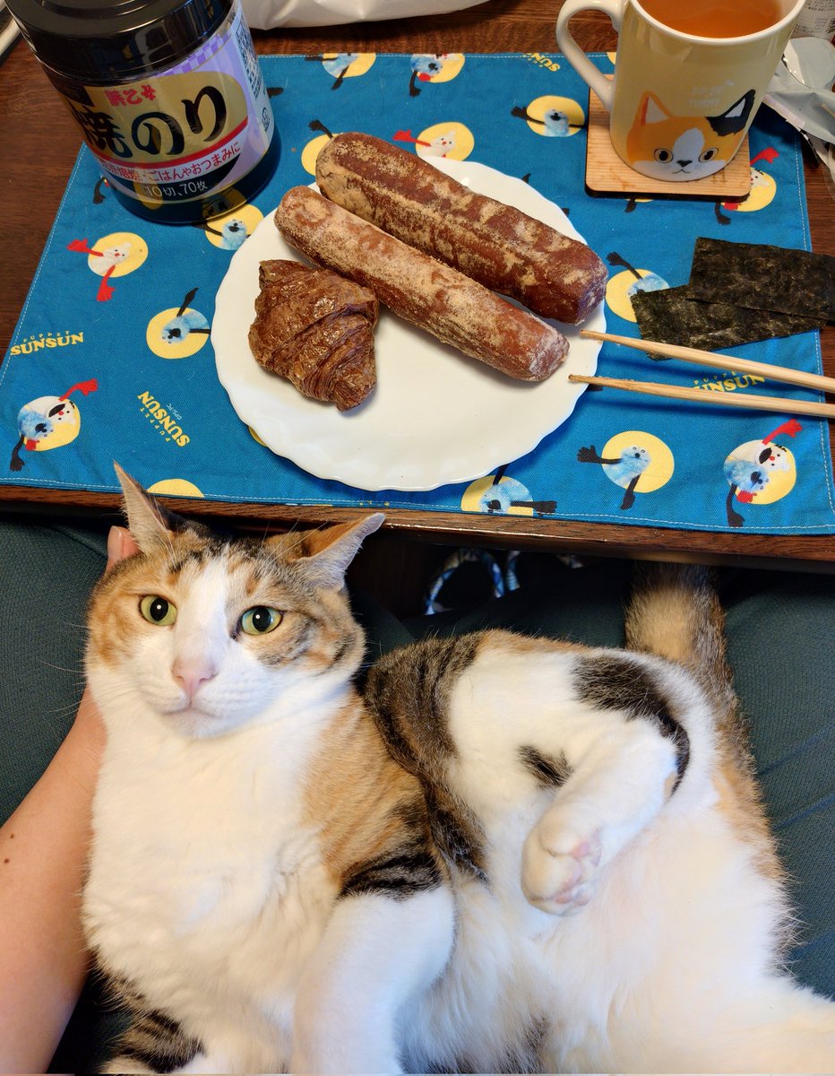 kawaii_nekoniko's tweet photo. ドンクのパンたべました https://t.co/KIAm7hW5Ls
