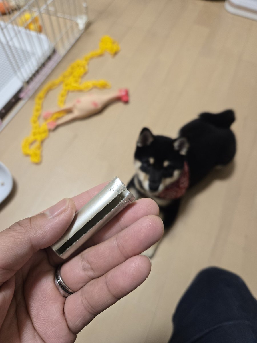 つむぎ tweet media