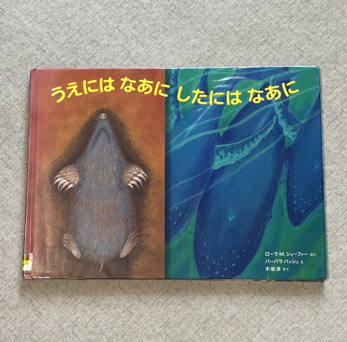 tsunaguehon's tweet photo. どんどん上を見てみよう。そこにはなにがあるの？
どんどん下を見てみよう。そこにはなにがあるの？
地球の不思議にふれるのが楽しい♪

(43/100) 
#福音館書店の絵本感想リレー https://t.co/xQpuQqYFrQ