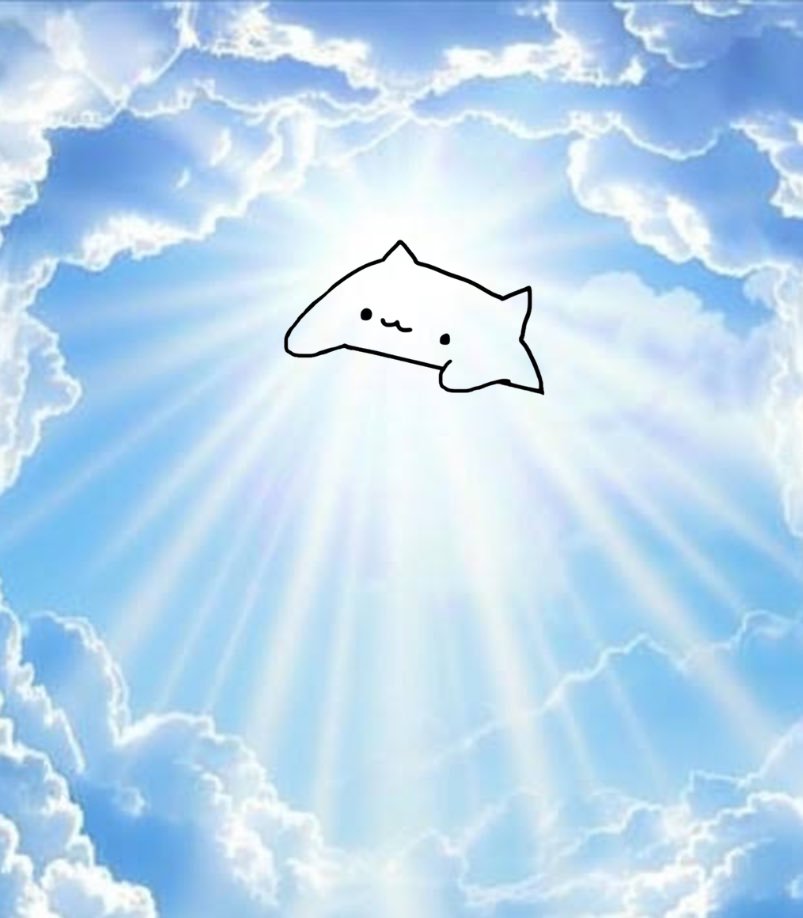 Bongo Cat (Fan Page) tweet media