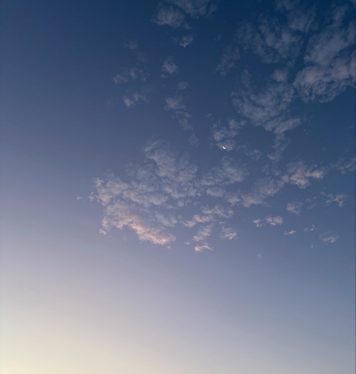 hirocat722's tweet photo. #イマソラ
#雲
#月 https://t.co/bfmMdf9f6j