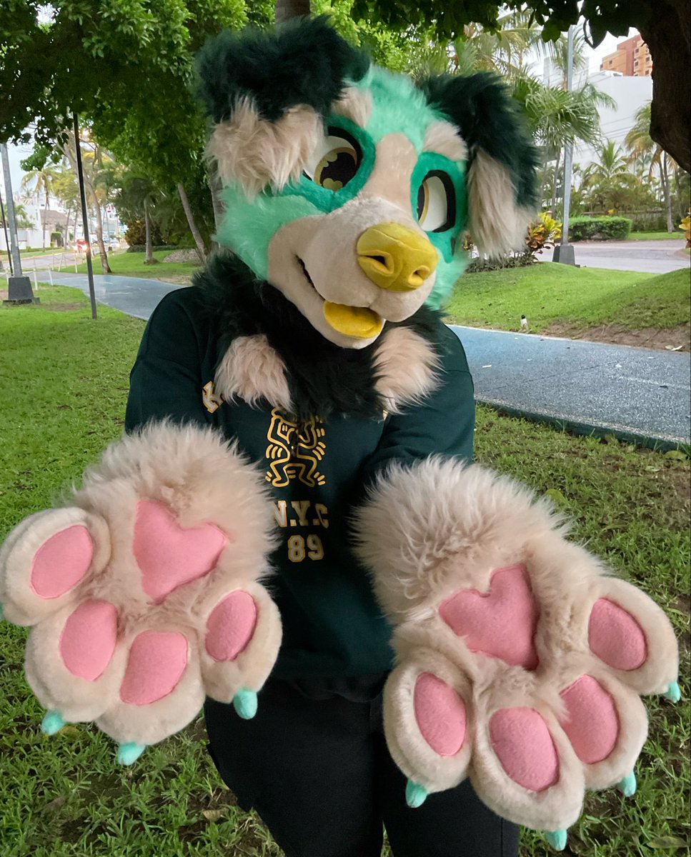 🌺Pink Limonada Fursuits✂🌿🍋 tweet media