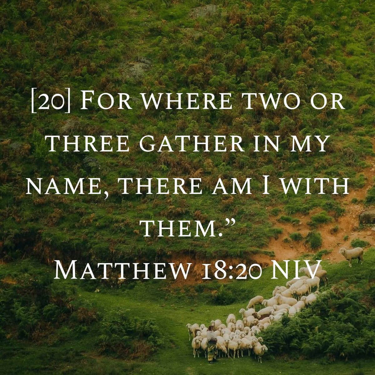 KeithZierler's tweet photo. Matthew 18:20 NIV
[20] For where two or three gather in my name, there am I with them.”

https://t.co/V0U9asdCUn https://t.co/q7bIKT3Wfs