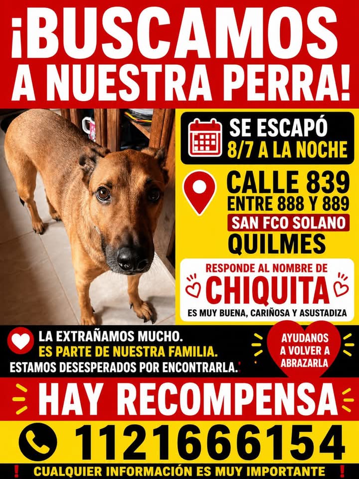 jimenadequilmes's tweet photo. Si alguien está reteniendo a CHIQUITA, COMUNICARSE POR FAVOR!!!💞 SU FAMILIA LA ESTÁ BUSCANDO!!!🙏🥹💓 Desde ya, muchas gracias!!!🐶🤗❤️ #Quilmes #SanFranciscoSolano #PerraPerdida https://t.co/na8RGX2RBN