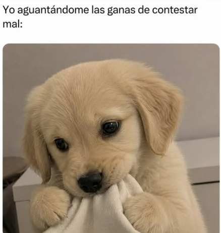 luigi_qb's tweet photo. 🙄 https://t.co/wT3b4VHhFy