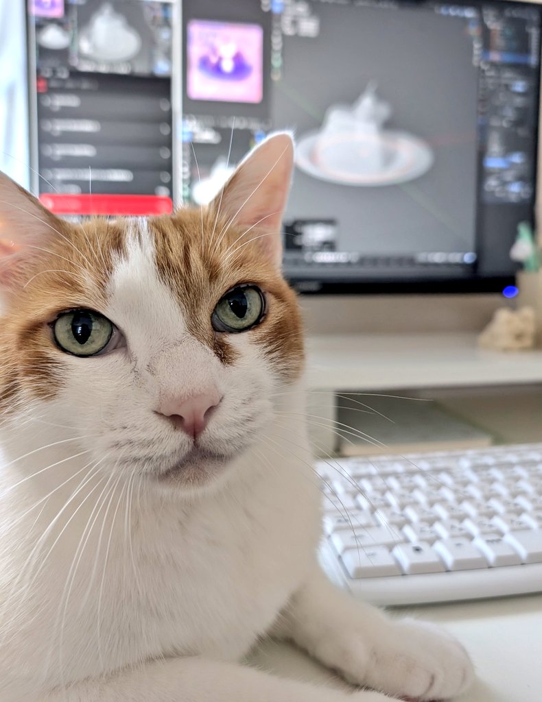 ram925783's tweet photo. colosoの新しい講座はじめたにゃ🐾 https://t.co/K41dRnZtDx