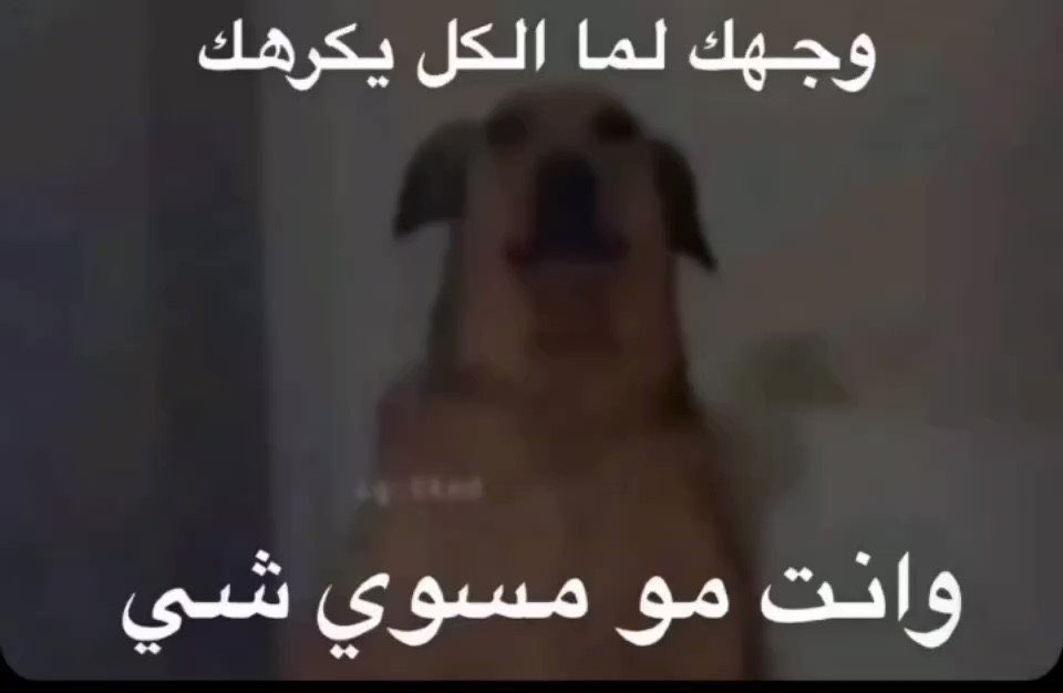 73benoo's tweet photo. ثامر ابتزوه البنات وطالبينه فلوس وخسر ٢٠٠ الف وسيف بيفصله وعيسى ينتظره عشان يضربه https://t.co/ibsqvgIN7A
