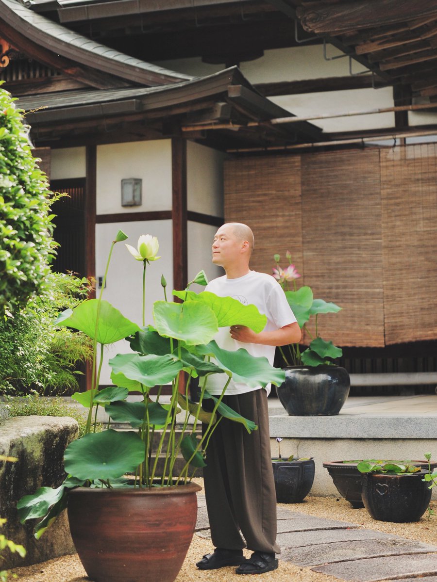 jyodoji's tweet photo. 今年も蓮と背比べ

住職のほうがちょっと高いかな？

あ、いや履き物の分を抜いたら

引き分けやね(=´∀｀)人(´∀｀=)

合掌

#浄土寺　#歓喜院  #境内 #蓮 #背比べ https://t.co/H0UC0RKtK2
