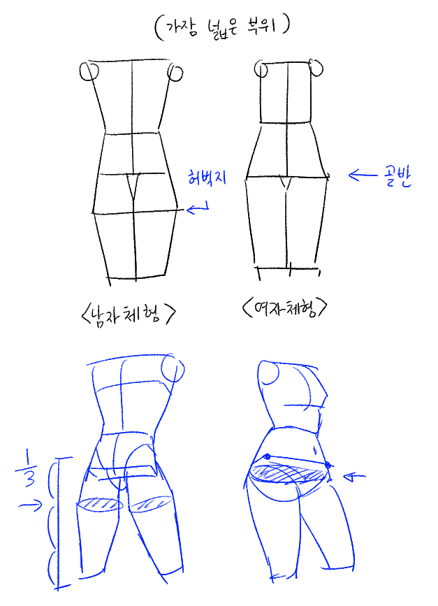 ongrae_su's tweet photo. 제가 깨우친 남자골반 데폼입니다... 전 개인적으로 남자 골반이 일자라는 소리가 도무지 이해가 안됐거든요(내가그리면개밤티같이나와서) 근데 이렇게 그리니까 더이상 골반 헤멜 일이 없더라고요 누군가에게는 도움이 되겠거니.... https://t.co/caCeT0YAQw