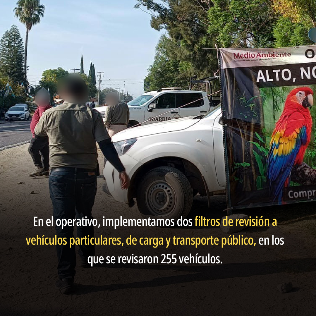 PROFEPA_Mx's tweet photo. 📍Puebla | En los municipios de Tlacotepec de Benito Juárez y Tepanco de López, realizamos un operativo con el objetivo de combatir la posesión y aprovechamiento ilegal de ejemplares de vida silvestre.

📌Lee más ➡️ https://t.co/U0vU3QEipn https://t.co/gnXrSMIgck