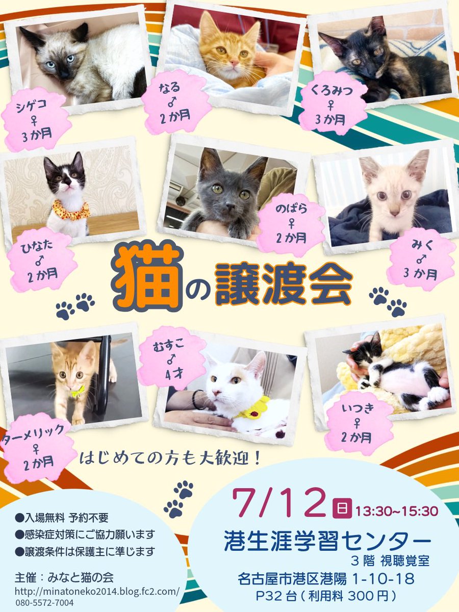minatonekonokai's tweet photo. #拡散RP希望
【猫の譲渡会】保護猫たちに本当の幸せを！
7/12(日)名古屋市港生涯学習センターで「猫の譲渡会」を開催❣️

今回は36匹が参加
みんな「本当の家族」を待っています

あなたの1つのRPが、猫たちの未来を変えるかもしれません

どうか拡散のご協力をお願いします🍀
#猫好きさんと繋がりたい https://t.co/rzJRevgPtD