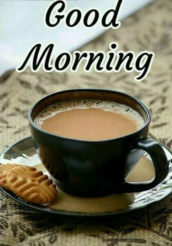 KangMohan's tweet photo. Good Morning to my Friends https://t.co/KruLHFKnaP