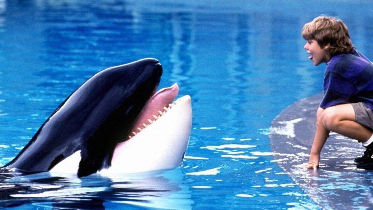 empiremagazine's tweet photo. Free Willy is coming back! Warner Bros. and The Russo Brothers' AGBO are teaming up to reimagine the 90s cult family classic about an orphaned kid who befriends a captive orca.

Read more: https://t.co/cs3BbdQ1MS https://t.co/clogZVkR2W