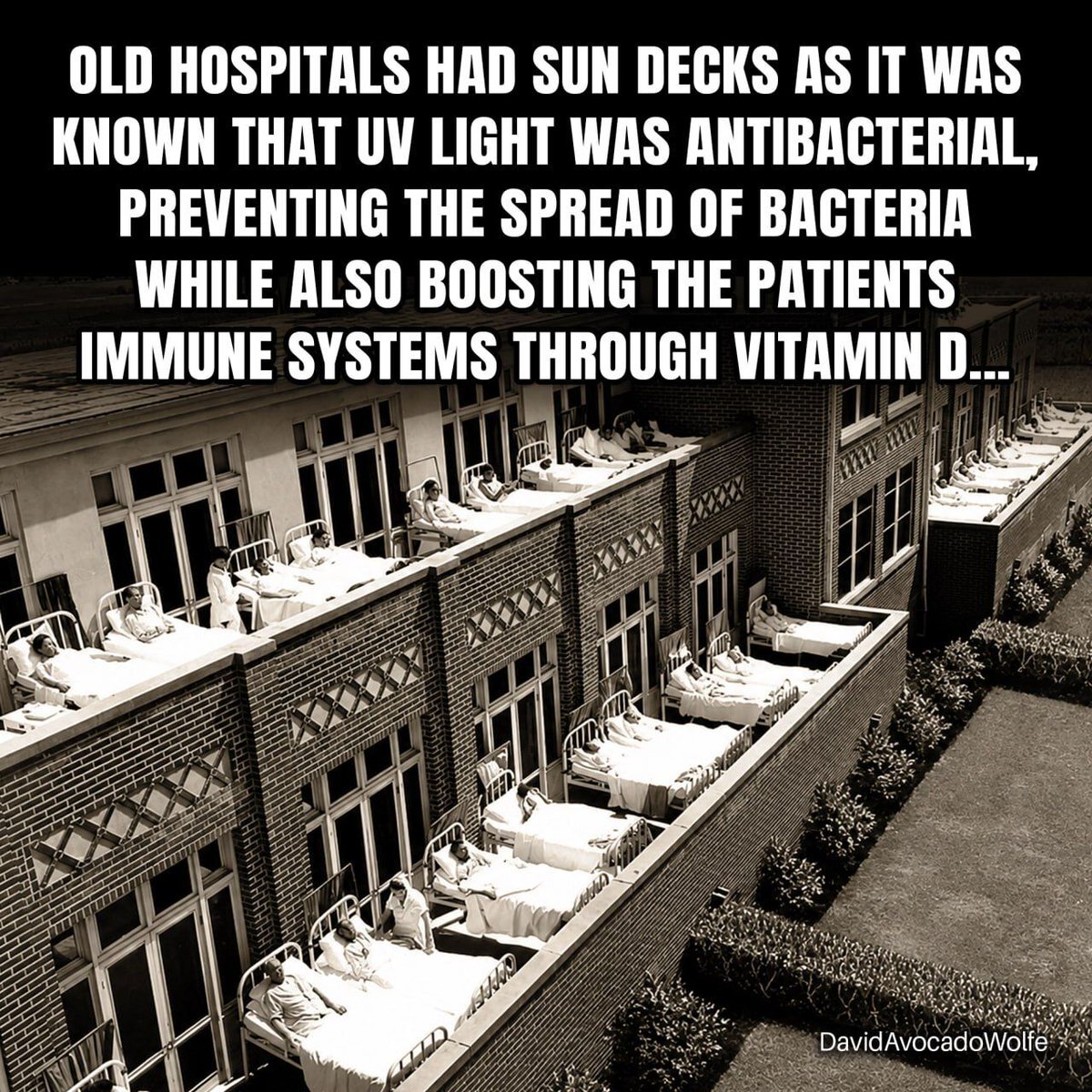 DavidWolfe's tweet photo. https://t.co/daPF3csoLb