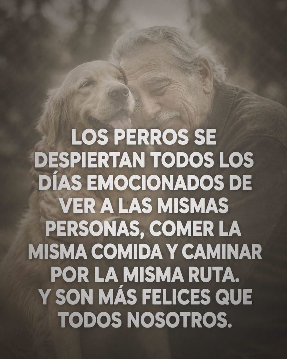Fabiolacar49087's tweet photo. https://t.co/UKl8UakOkh