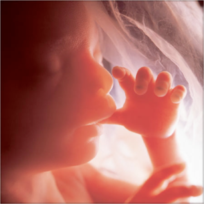 a_cohick's tweet photo. " WORD of TRUTH Lighthouse ": " GOD Loves the Unborn " https://t.co/FCaCoybQ5x https://t.co/gfq1jmRAVS