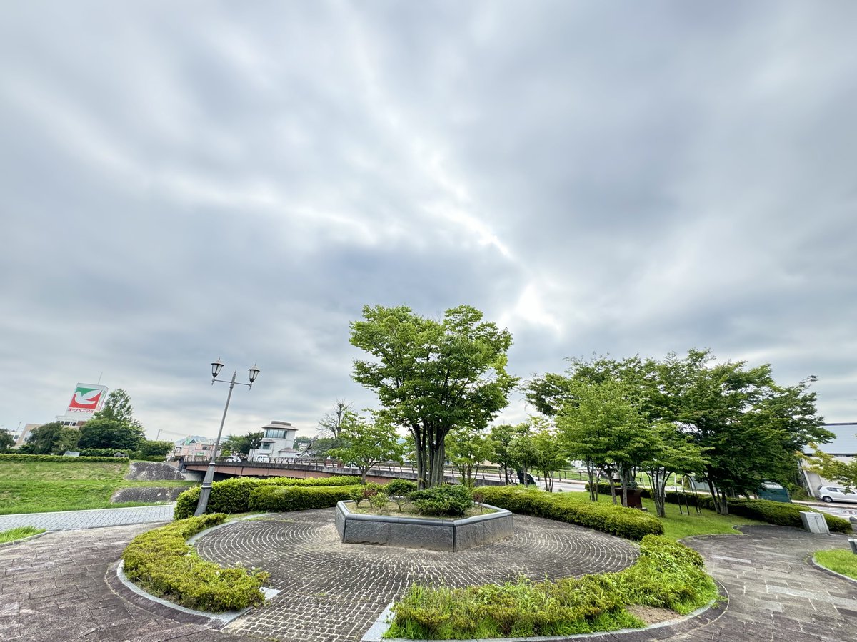iyasi41yoi's tweet photo. おはようございます😄
モヤモヤ〜ぬる〜い風が吹いています
朝晩涼しい頃が懐かしいですね😊

曇り空が広がりますが
西の空は青空のところも⛅️

はじめてネジバナ見つけました！
ちょうど🐝がきた☺️

熱中症にお気をつけて💦🥤
体調管理ガンバです！
#福島県伊達市梁川町
#空ネット #イマソラ https://t.co/AlYwASPMd9