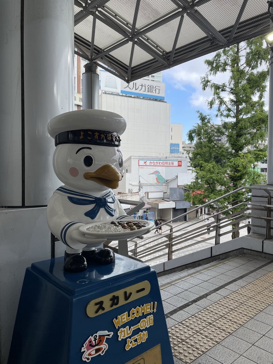 sucurry's tweet photo. おはようございます。きょうの横須賀は晴れ☀️金曜日はカレーの日でスカレー！🍛✨
#金曜日はカレーの日 https://t.co/brveYuYUGy