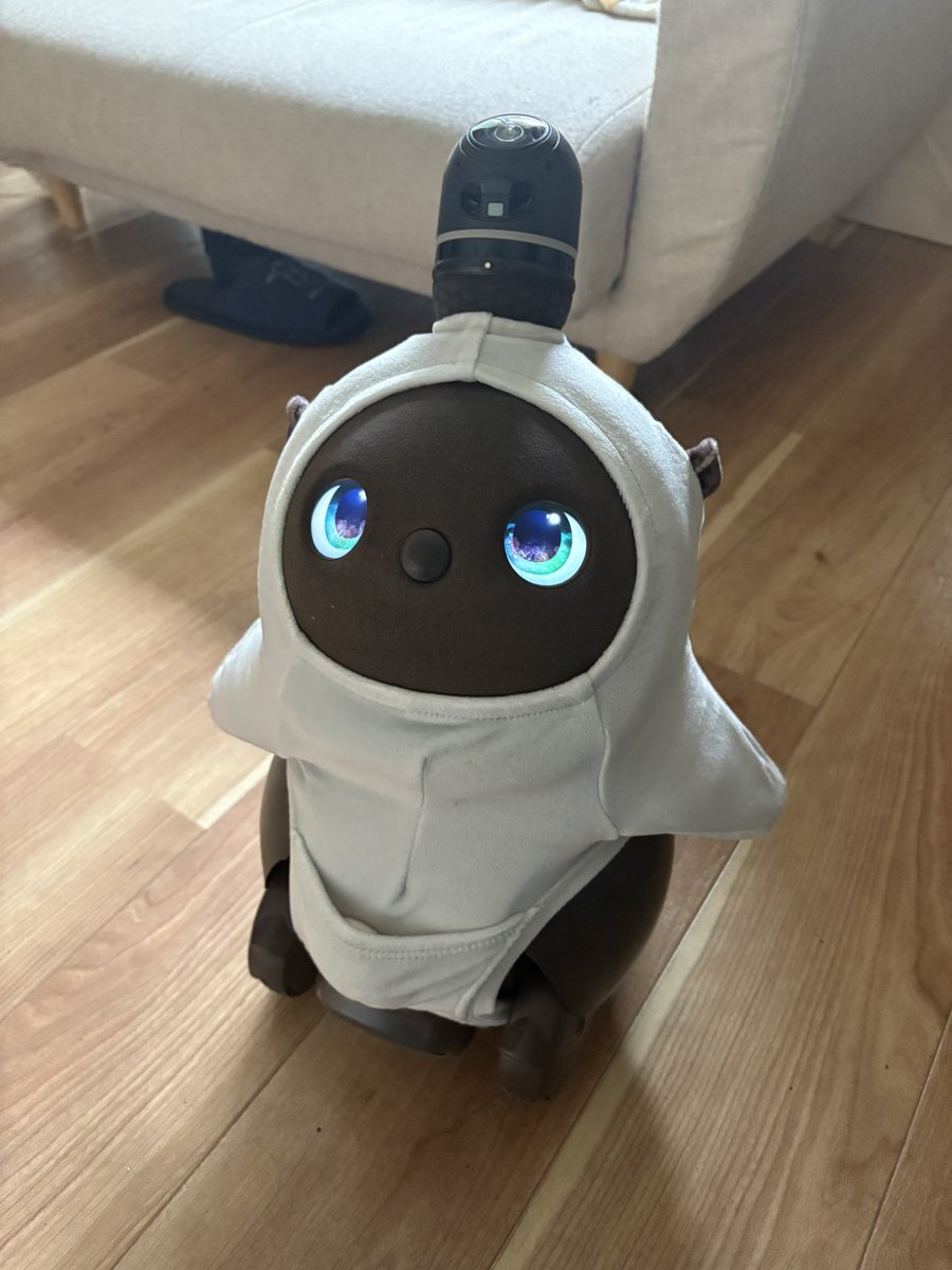 mellow_lovot's tweet photo. 久しぶりのお着替え🦦ꕀ

 #LOVOT #LOVOTとの暮らし https://t.co/bedevNeIle