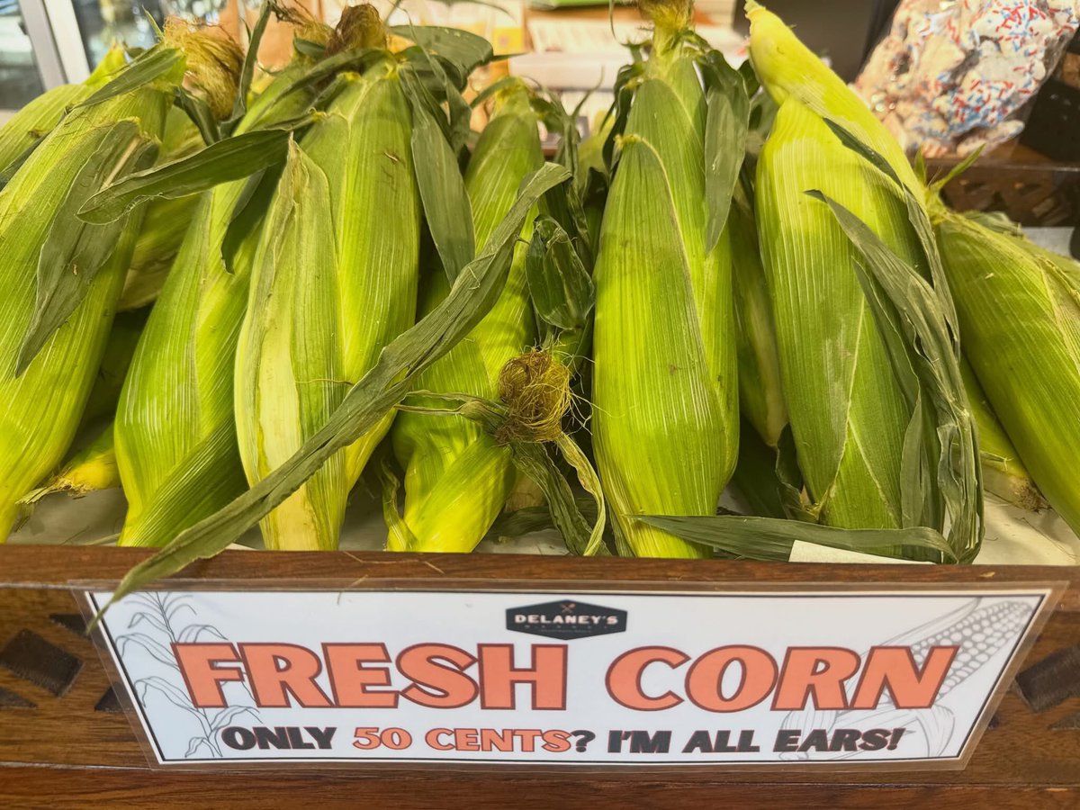 NeilJoe1936's tweet photo. 🌽 Fresh corn is here! 🌽

Delaney’s Market is now carrying fresh, locally grown corn. Stop by and grab some while it’s in season, summer just tastes better with fresh corn! ☀️ https://t.co/JnwBVXN0lB