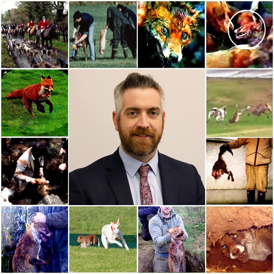 banbloodsports's tweet photo. In the past 7 months, Ireland's so-called "MINISTER FOR NATURE AND BIODIVERSITY" Christopher O'Sullivan TD (Fianna Fail) has shamefully voted against bans on both fox hunting and hare coursing. @COSullivanTD SHAME ON YOU https://t.co/ptViAPrXsF