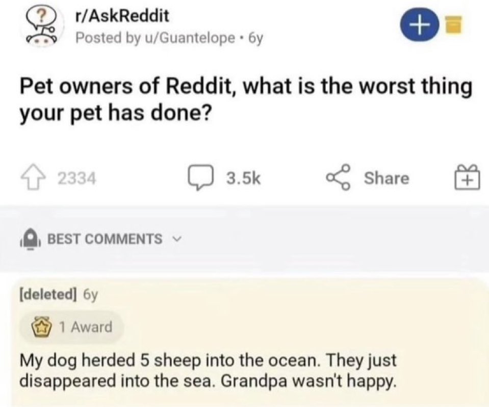 redditrepostss tweet picture