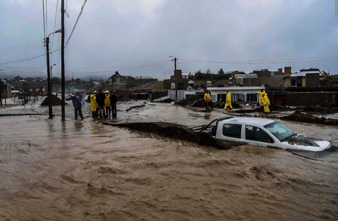 AlberCarp4's tweet photo. Esta es , Leticia Hichaqueo.
Ex ministra de familia de Chubut.
En 2017 durante las inundaciones en Chubut el gobernador Das Neves declaro zona de catástrofe. 
Hichaqueo, desvío  donaciones por 408 mil dolares y 450 bolsas de alimentos  de Royal Canin, para asistir a los damnificados y sus mascotas , Chubut estaba en reconstrucción. 
Está DELINCUENTE parte de esa donación la vendió por internet.
Fue condenada a 4 años y 8 meses de prisión e inhabitacion de por vida como funcionaria. 
en 2024 se ratificó la prisión efectiva, pero la justicia flexibilizó su situación a prisión domiciliaria. Hoy puede salir de su domicilio. 
Así estamos país, con una justicia inválida