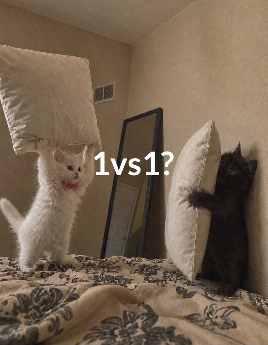 cutedreamvibes's tweet photo. https://t.co/YaKDCJrf5F