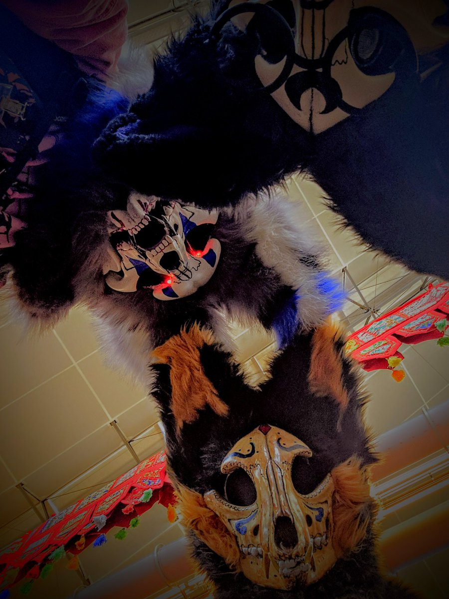 Roxzee_66's tweet photo. Anthrocon pics! https://t.co/y7MA3cE7Xq