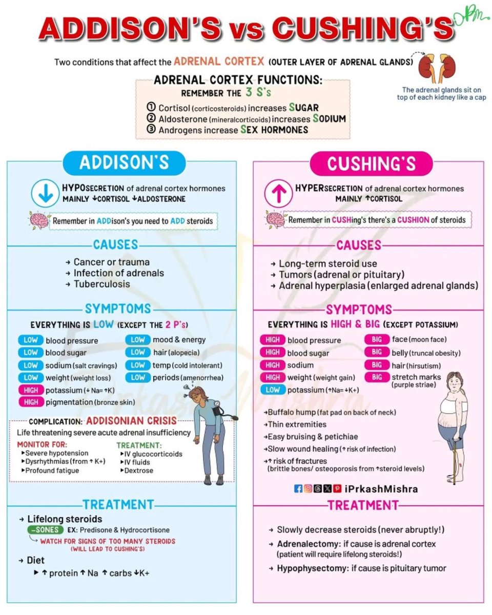 DrSalamRahhal's tweet photo. ⭕️⭕️Addison’s disease Vs Cushing’s syndrome https://t.co/w4hmgU1Jlt