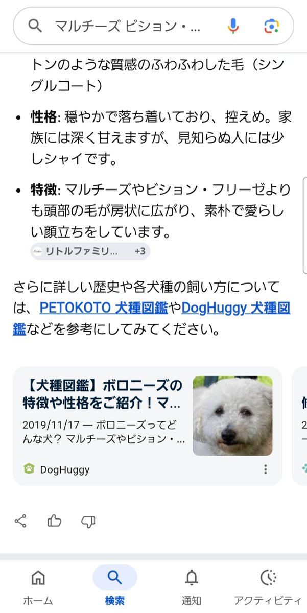 wkwkmir's tweet photo. わんパトでマルチーズに似てるけど全然違うのをよく見かけるんだけど調べてみたらビション・フリーゼという犬種だった。そんなのいるの知らなかった。小学生のときマルチーズ飼ってたから、そのあてつけというか、そういうことなんだろうけど、興味があったかもんで。
かわいいなw https://t.co/eOPwAViO5e