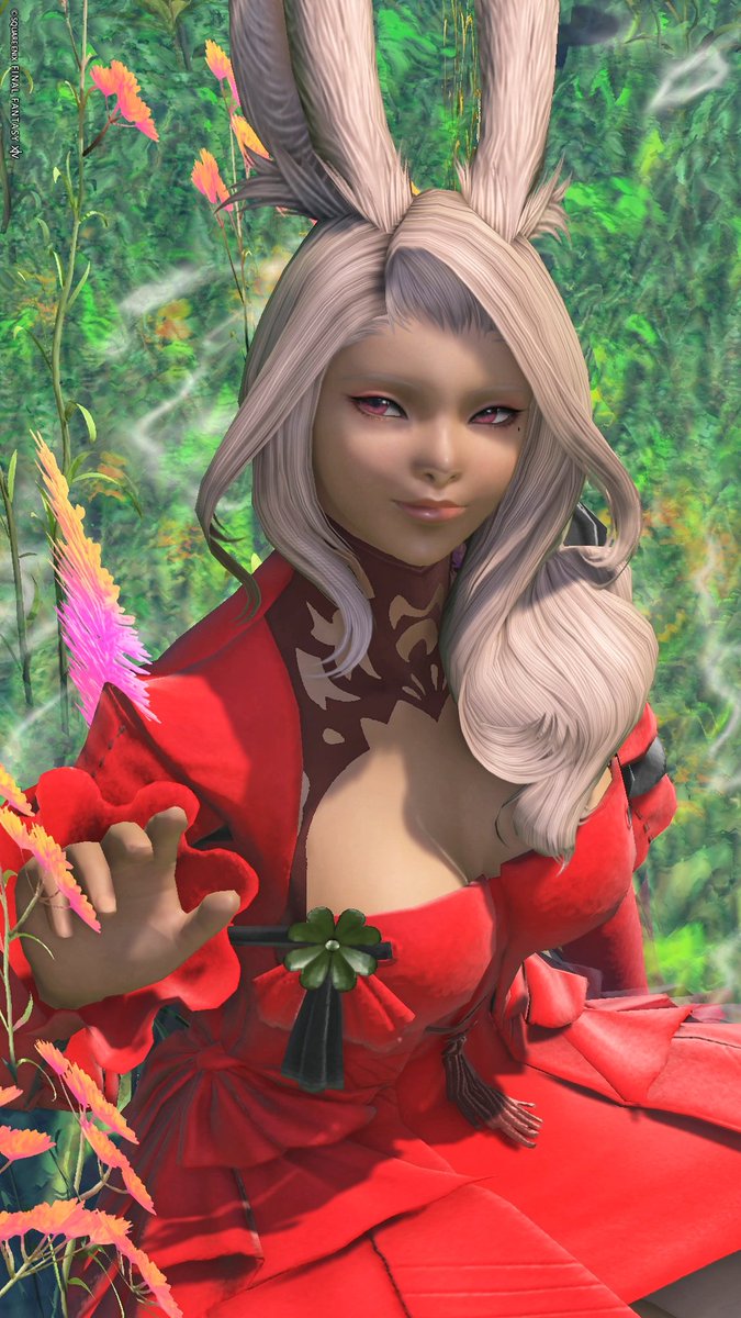 saotome_ff's tweet photo. #おはウサ です🐰
#FF14 #ヴィエラ https://t.co/DScOBdO8sG