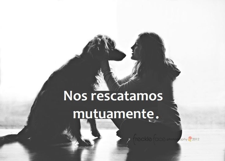 rey_latino33087's tweet photo. https://t.co/LA7bAg2gTT