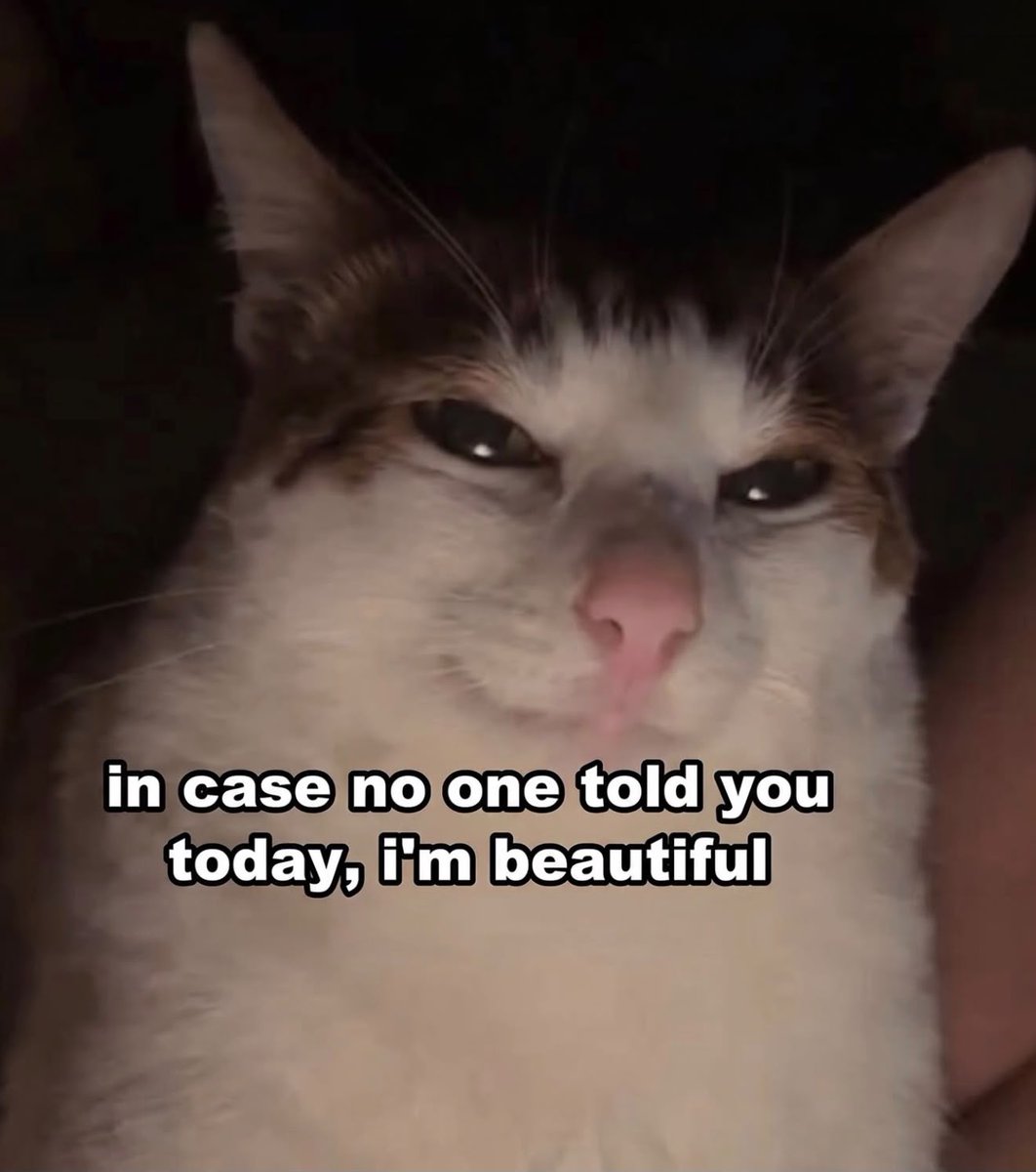 only cute things tweet media