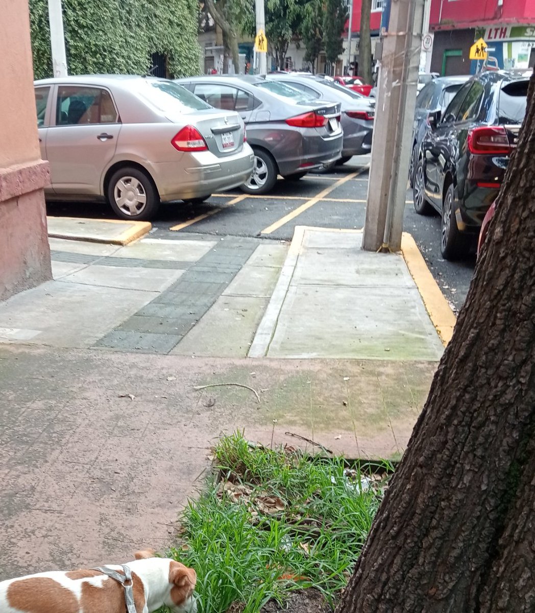 cyscolyn72's tweet photo. @UCS_GCDMX buena tardes a ver si pueden mandar personal de tránsito a la calle mártires de la conquista esquina con calle primero de mayo este taller siempre pone sus carros en la rampa para discapacitados de antemano agradezco su atención https://t.co/yejmurLOvw