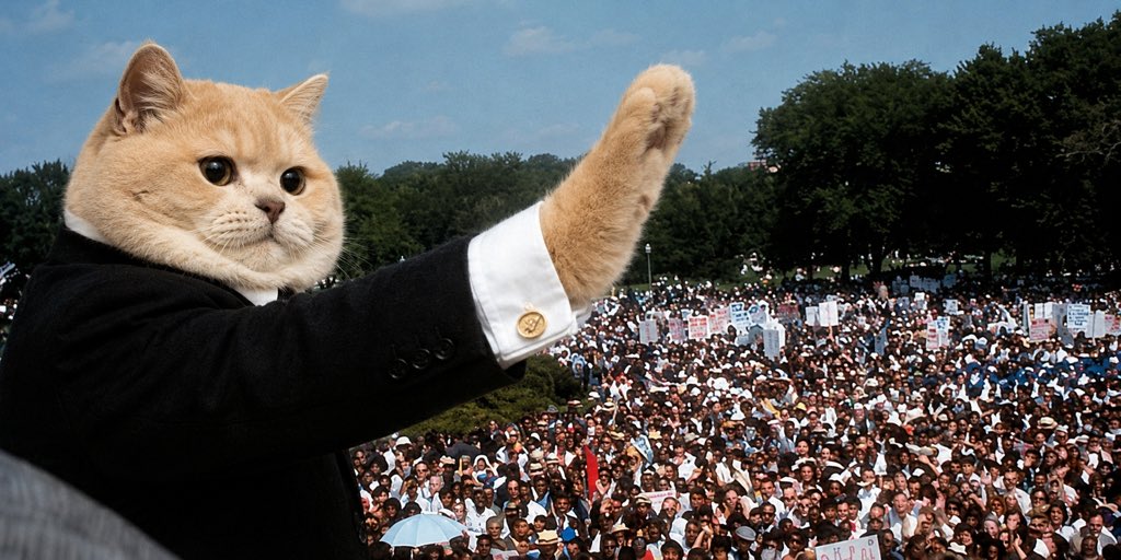 MasonC1600's tweet photo. I HAVE A DREAM

$fatcat  

3eXUhsyLB1UnTqYZfk3sbinhr5jaFSXAkToa1fBpoEns https://t.co/YiCU9dbbRX