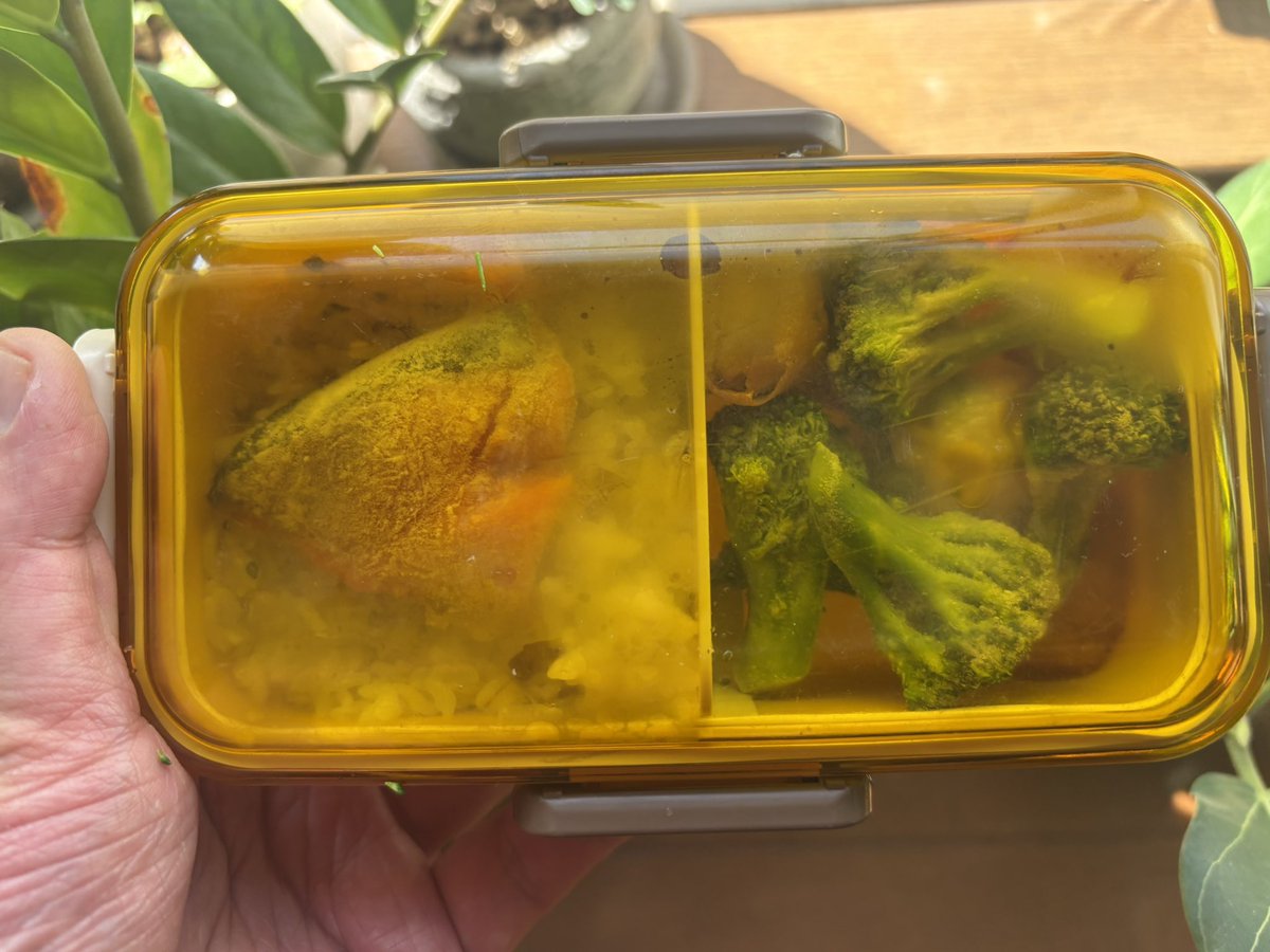 Pontanachan's tweet photo. 蓋してもうた弁当🍱もー脂質的に明太子orシャケor鯖でテキトーな日々

#お弁当記録
#お腹ぺコリン部 
#お弁当作り楽しもう部 https://t.co/fWRLd0UpTI